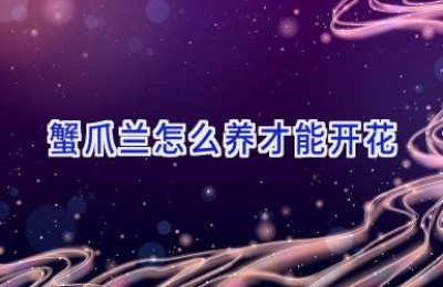 蟹爪兰怎么养才能开花