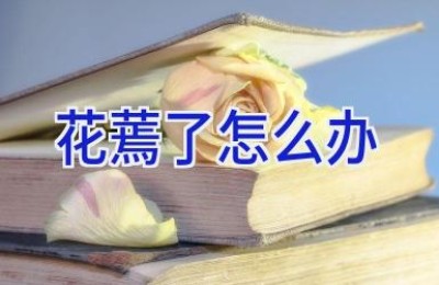 花蔫了怎么办