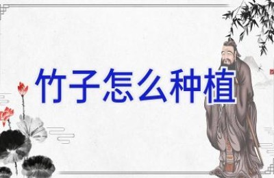 竹子怎么种植