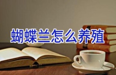 蝴蝶兰怎么养殖