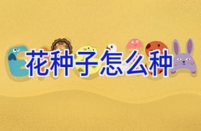花种子怎么种
