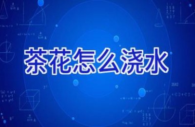 茶花怎么浇水