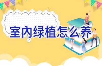 室内绿植怎么养