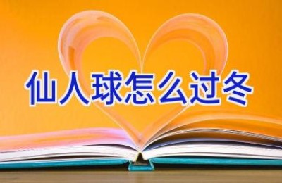 仙人球怎么过冬