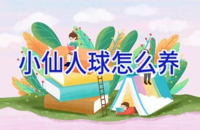 小仙人球怎么养