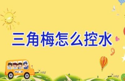 三角梅怎么控水