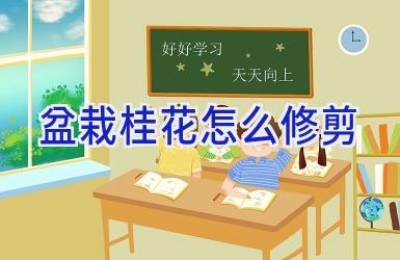 盆栽桂花怎么修剪