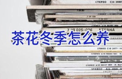 茶花冬季怎么养