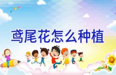 鸢尾花怎么种植