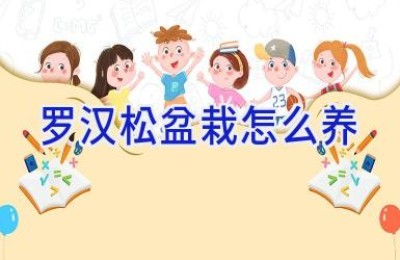 罗汉松盆栽怎么养