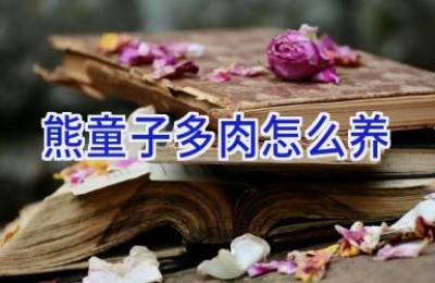 熊童子多肉怎么养