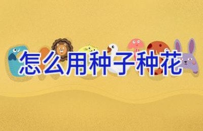 怎么用种子种花