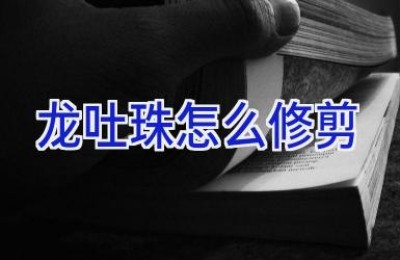 龙吐珠怎么修剪