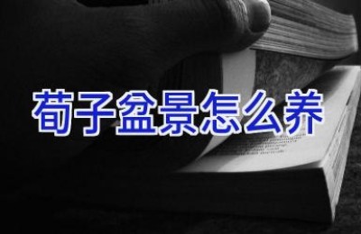 荀子盆景怎么养