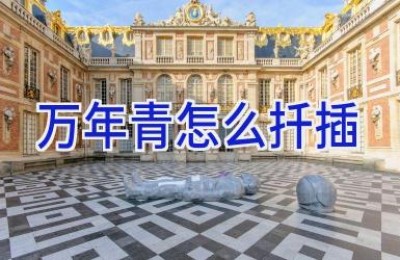 万年青怎么扦插