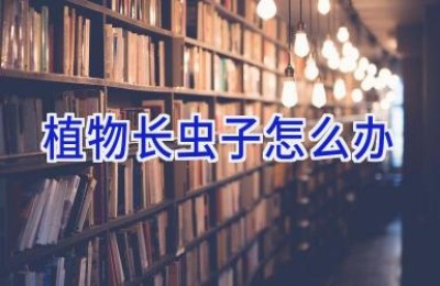 植物长虫子怎么办