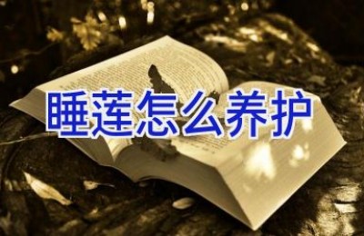睡莲怎么养护