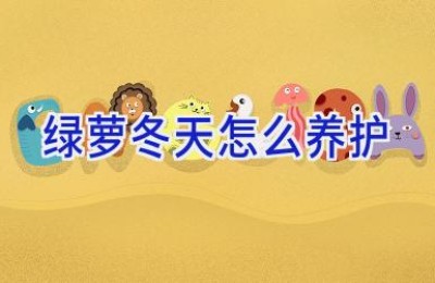 绿萝冬天怎么养护