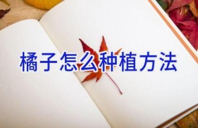 橘子怎么种植方法