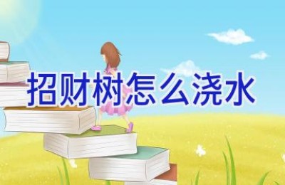 招财树怎么浇水