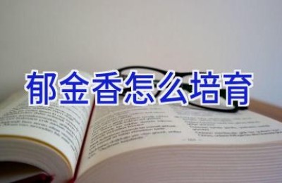 郁金香怎么培育