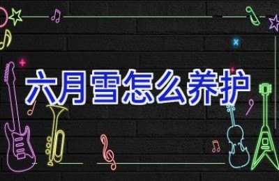 六月雪怎么养护
