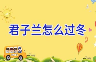 君子兰怎么过冬