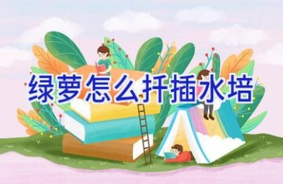 绿萝怎么扦插水培