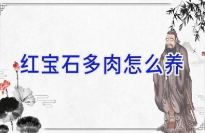 红宝石多肉怎么养