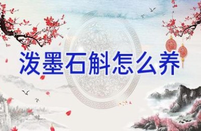 泼墨石斛怎么养