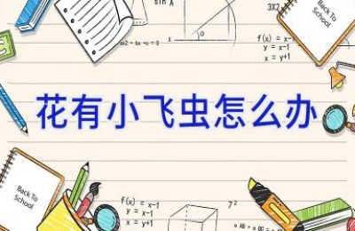 花有小飞虫怎么办