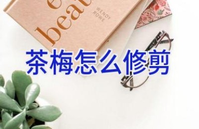 茶梅怎么修剪