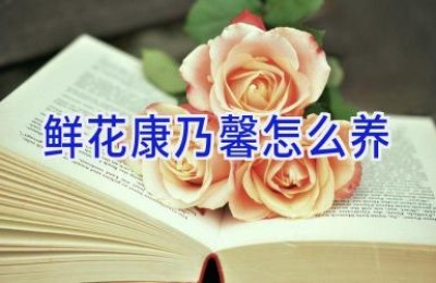 鲜花康乃馨怎么养