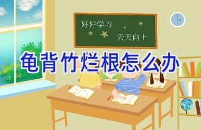 龟背竹烂根怎么办