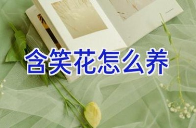 含笑花怎么养