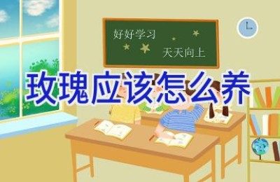 玫瑰应该怎么养