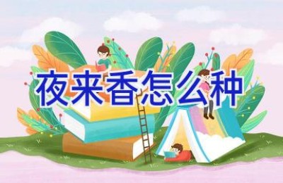夜来香怎么种
