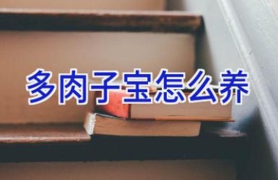 多肉子宝怎么养