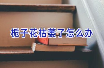 栀子花枯萎了怎么办