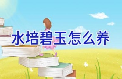 水培碧玉怎么养
