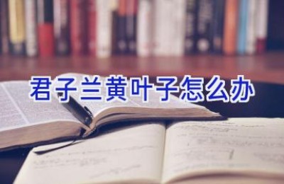 君子兰黄叶子怎么办