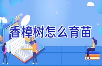 香樟树怎么育苗