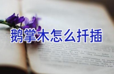 鹅掌木怎么扦插