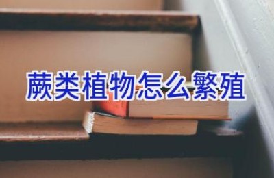 蕨类植物怎么繁殖