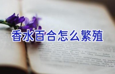 香水百合怎么繁殖