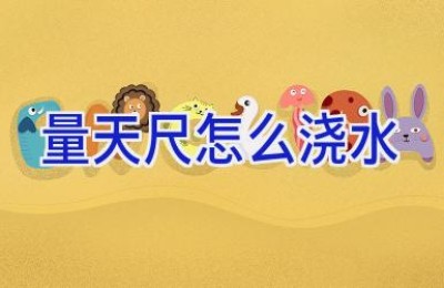 量天尺怎么浇水