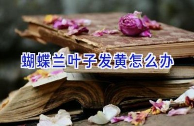 蝴蝶兰叶子发黄怎么办