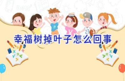 幸福树掉叶子怎么回事