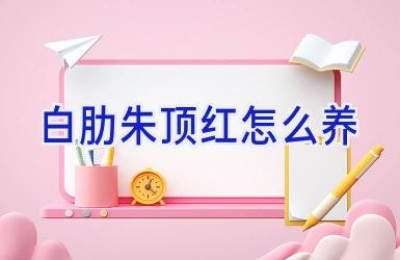 白肋朱顶红怎么养