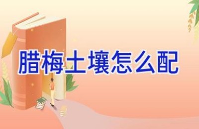 腊梅土壤怎么配